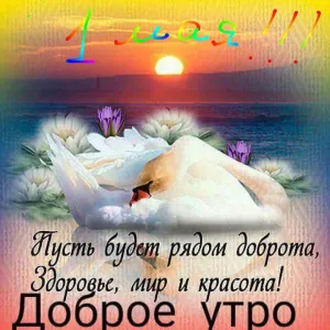 Скачивание изображения #206983