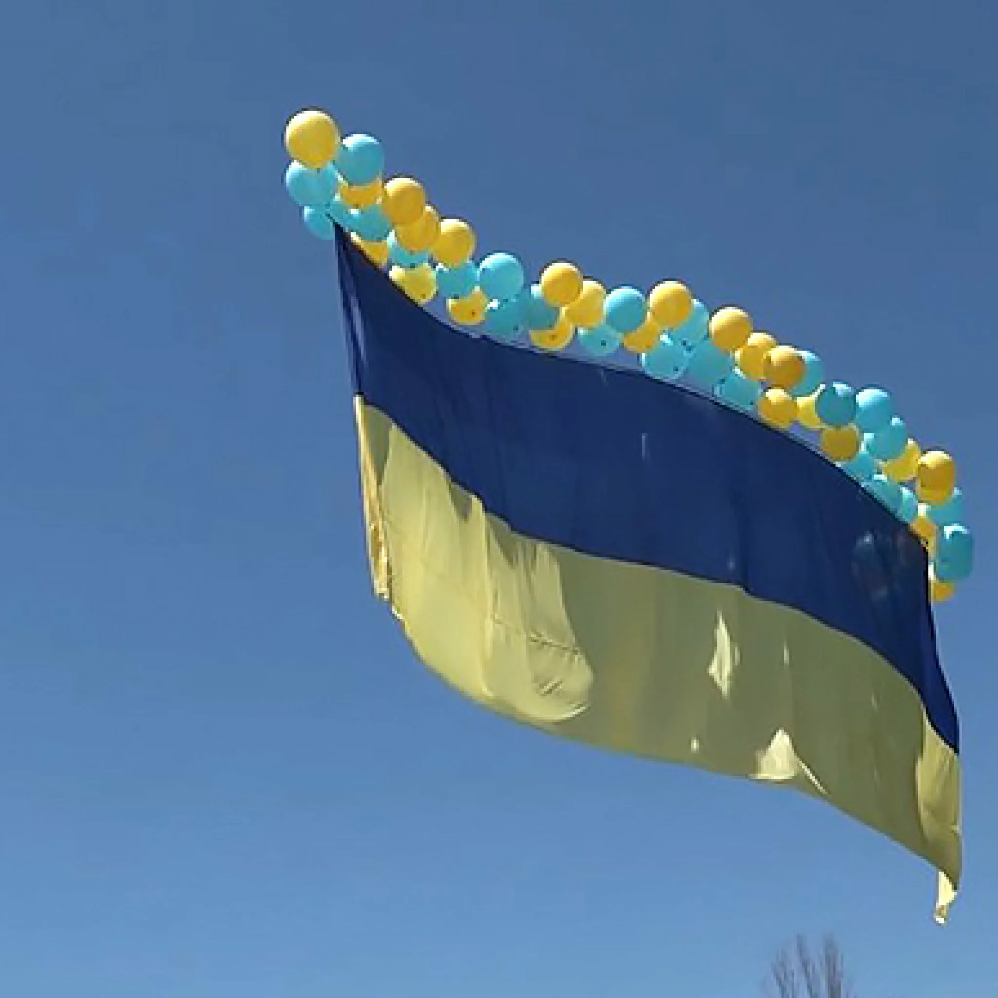 Фото День флага Украины #69