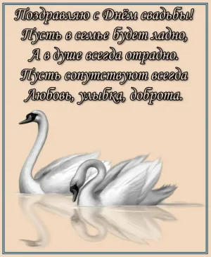 Скачивание изображения #421958