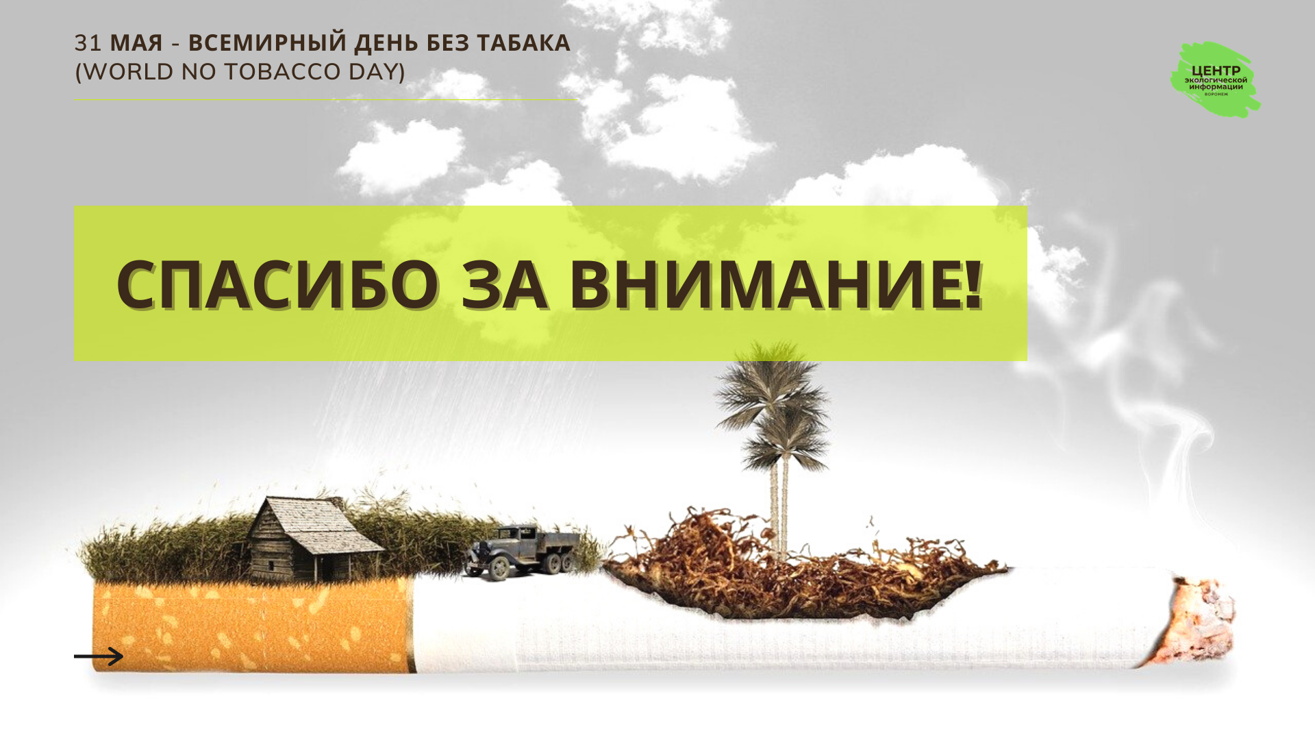 Фото Всемирный день без табака 2024 #48