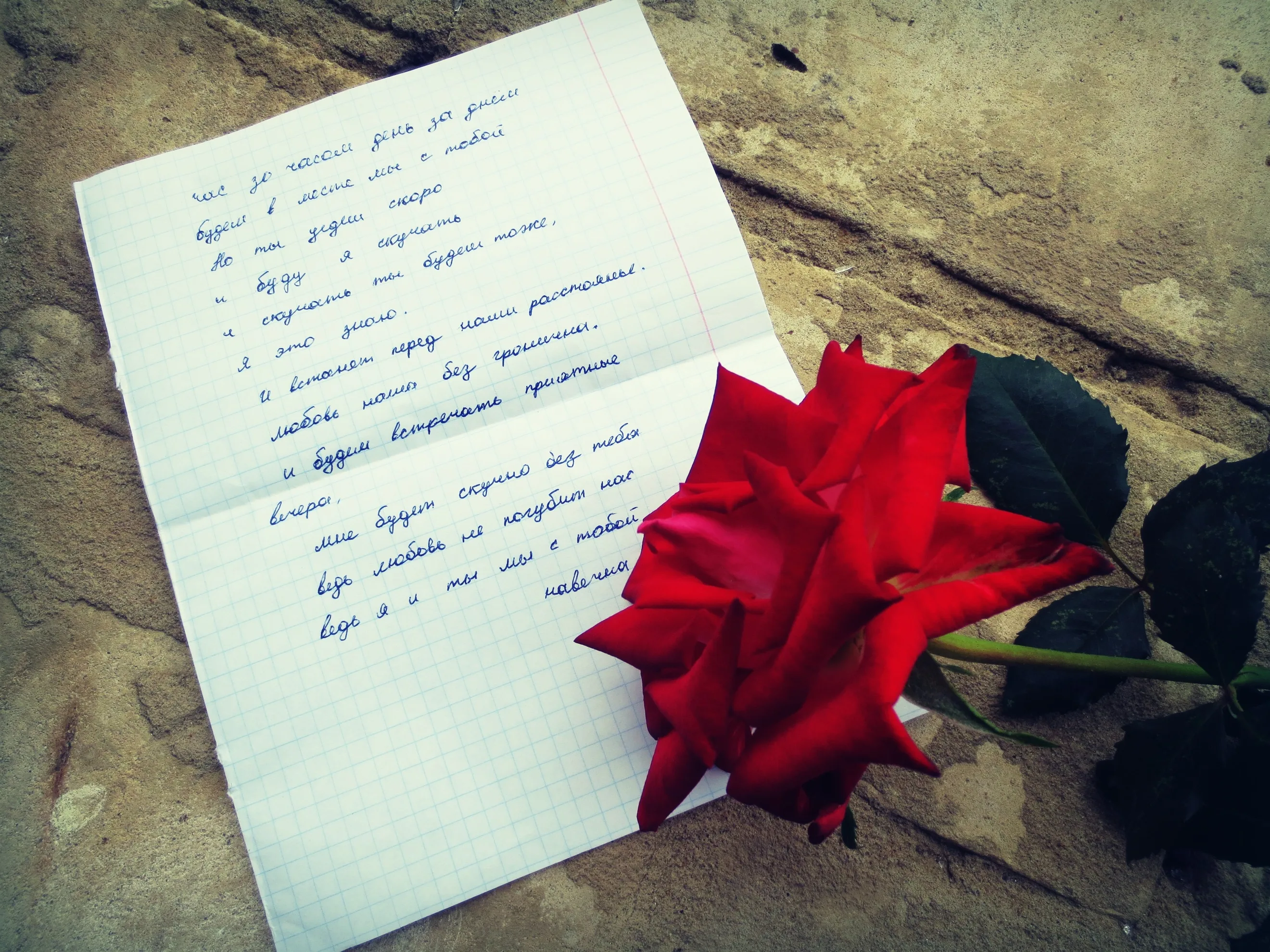 Фото Стихи к подарку розы #52