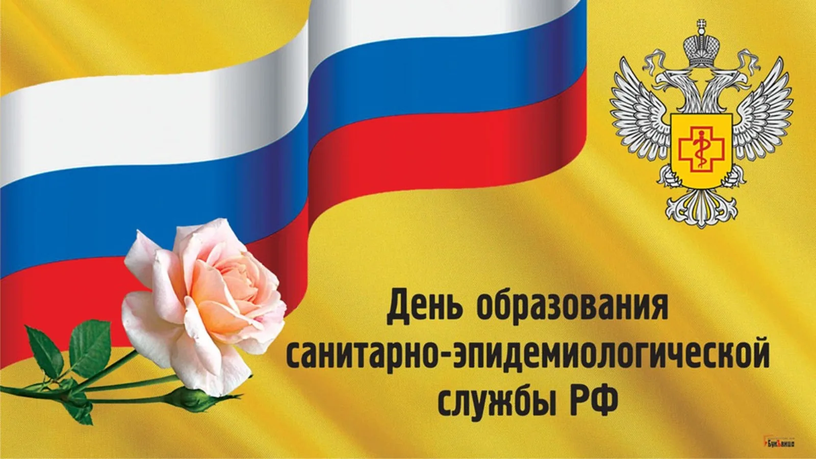 Фото День государственного служащего Украины 2024 #37