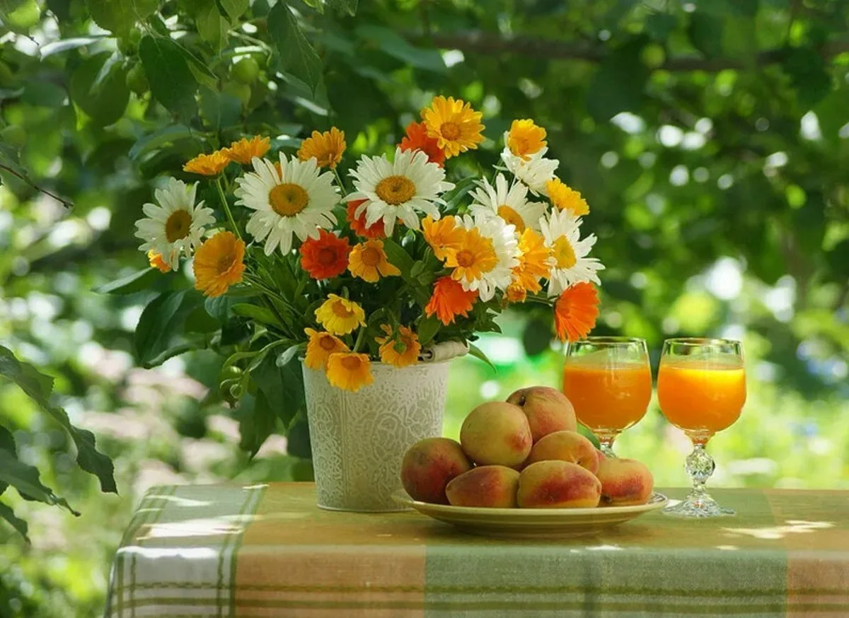 Красивого яркого дня картинки. Доброе летнее солнечное утро. Солнечный цветок. Утро лето цветы. Солнечного летнего утра и доброго дня.