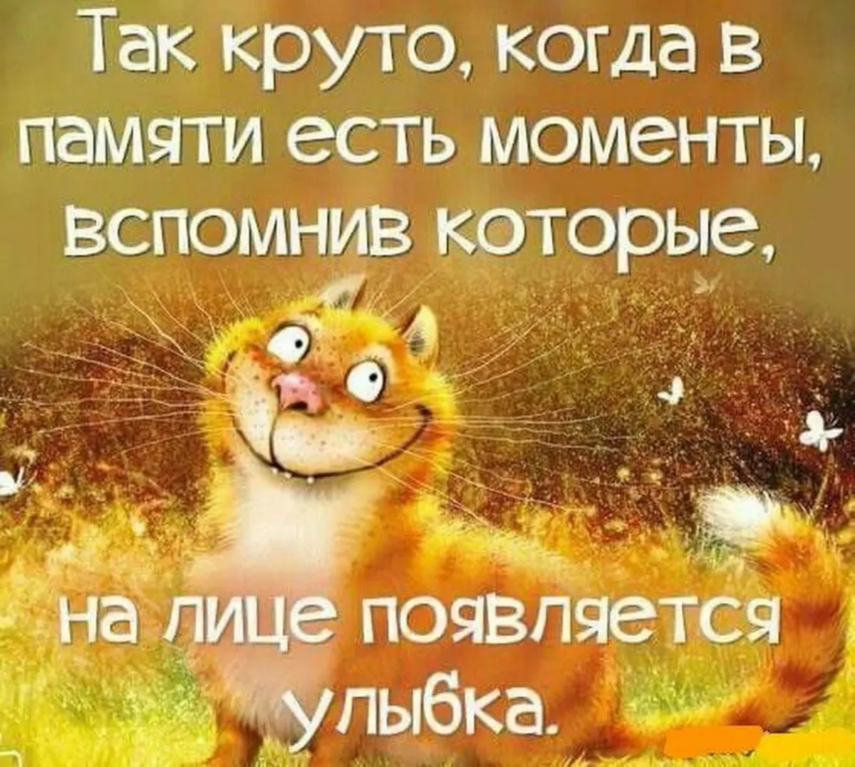 Картинки поднимающие дух