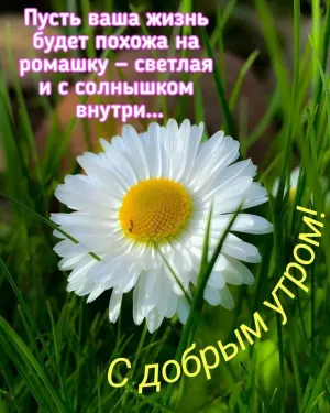 Скачивание изображения #230876