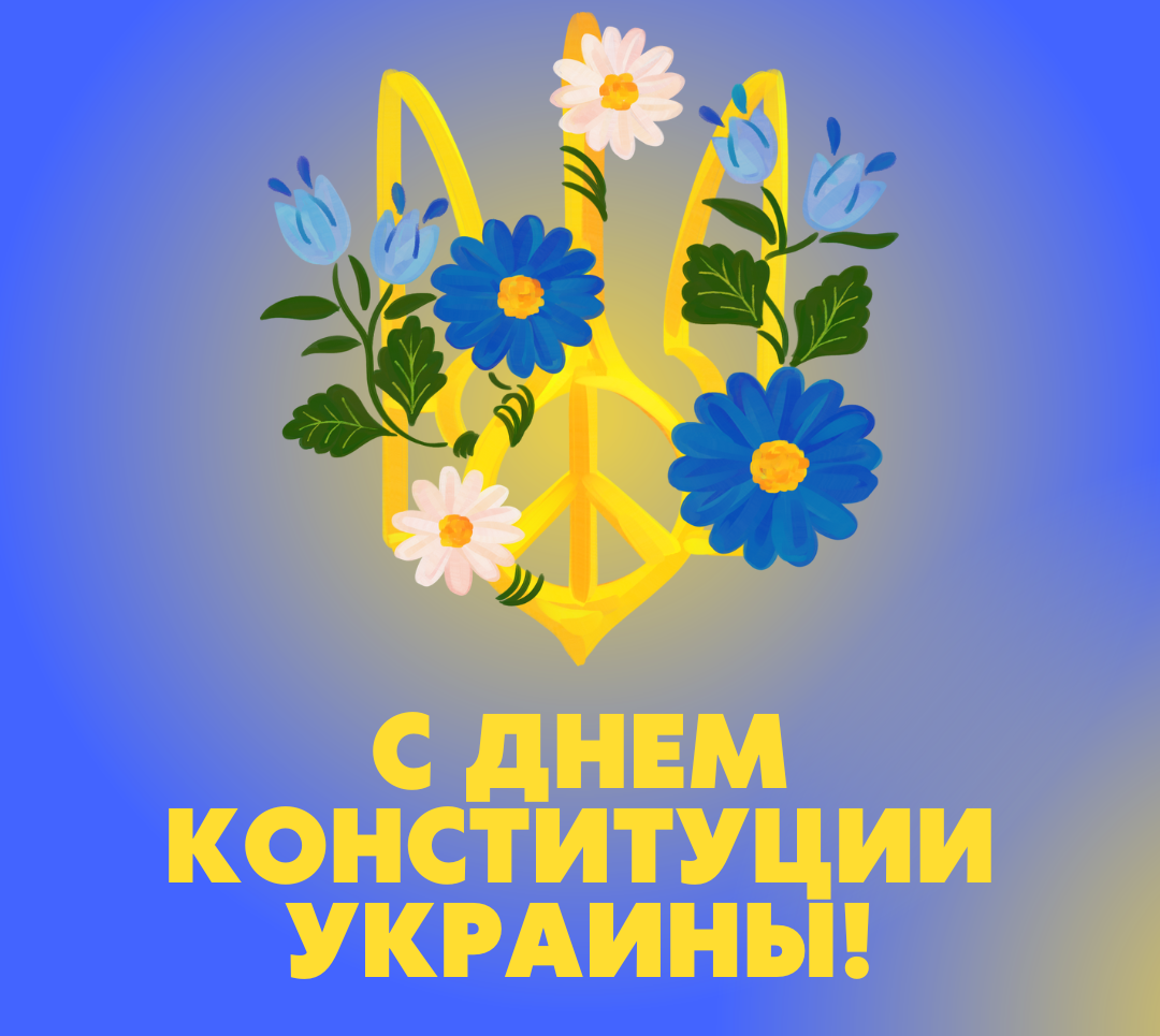 Фото День Конституции Украины #19
