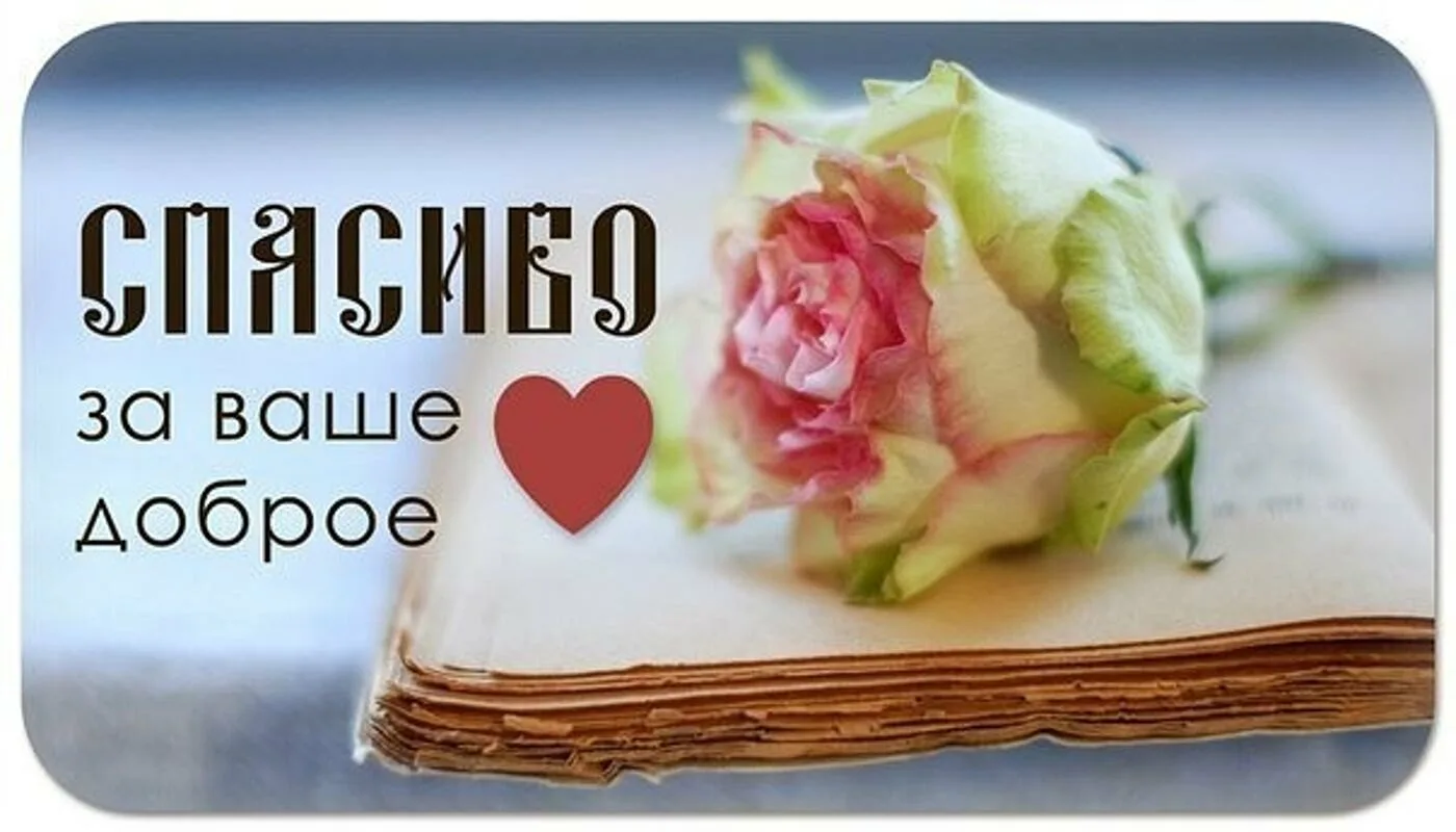 Хочу вам спасибо сегодня. Открытка спасибо за поддержку. Спасибо за доброе сердце. Спасибо за ваше доброе сердце. Спасибо за Вашу доброту.