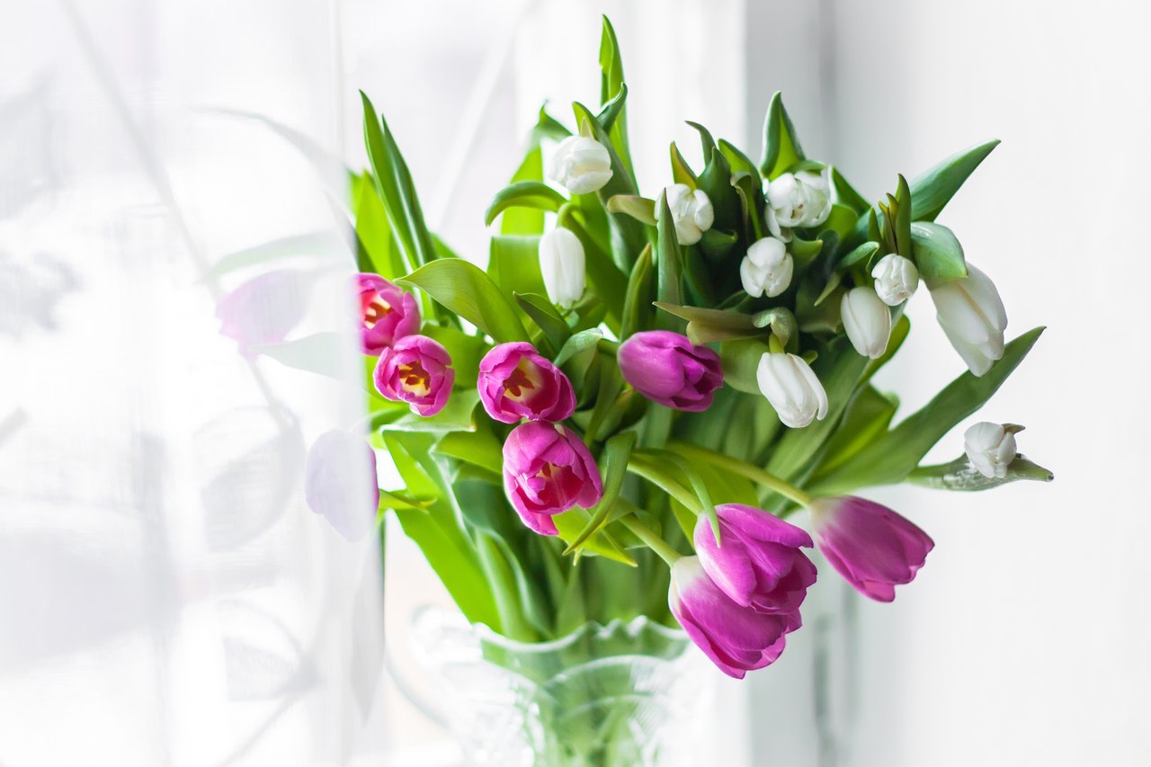 Фото Стихи к подарку тюльпаны #25