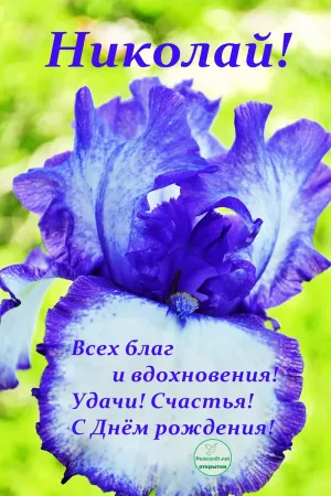 Скачивание изображения #109486