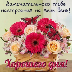 Скачивание изображения #289995