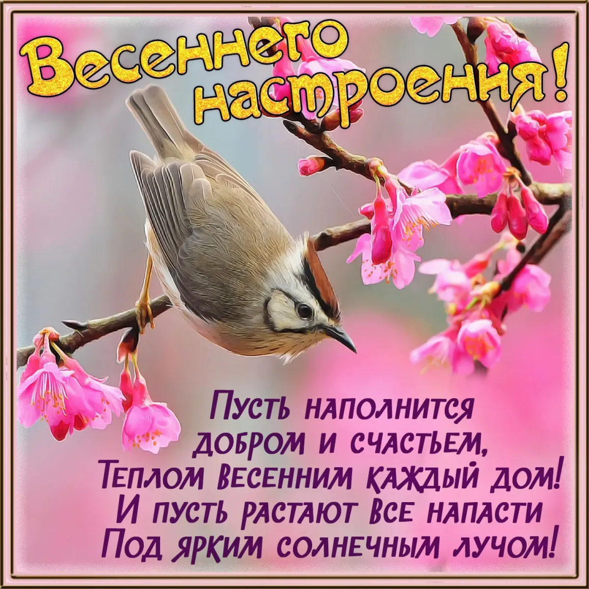 Доброе утро с пожеланиями здоровья весной. Поздравление с добрым весенним утром. Весенние пожелания. Пожелания с добрым весенним утром. Поздравления с добрым утром весны.