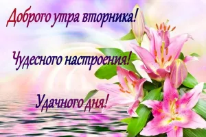 Скачивание изображения #32765