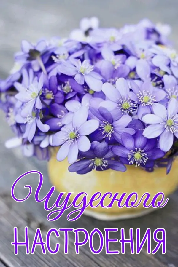 Доброе утро и с днем рождения