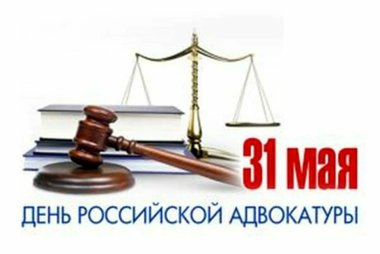 Фото День адвоката России 2024 #61