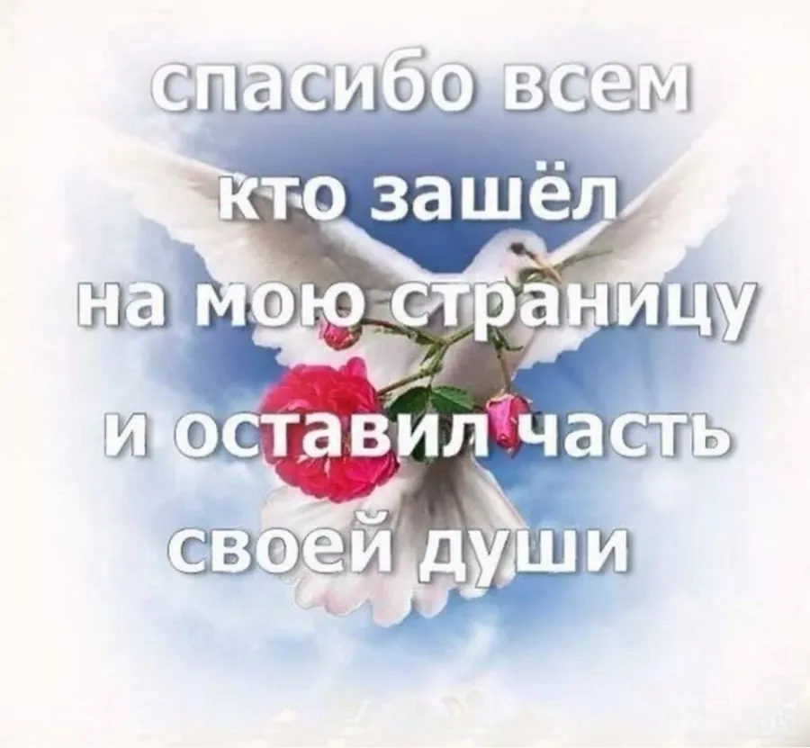 Скажи спасибо тем кто дорог. Спасибо всем кто зашел на мою. Спасибо всем кто заходил на мою страничку. Спасибо всем кто зашел на мою страницу. Спасибо кто зашёл на мою страницу.