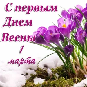 Скачивание изображения #365756