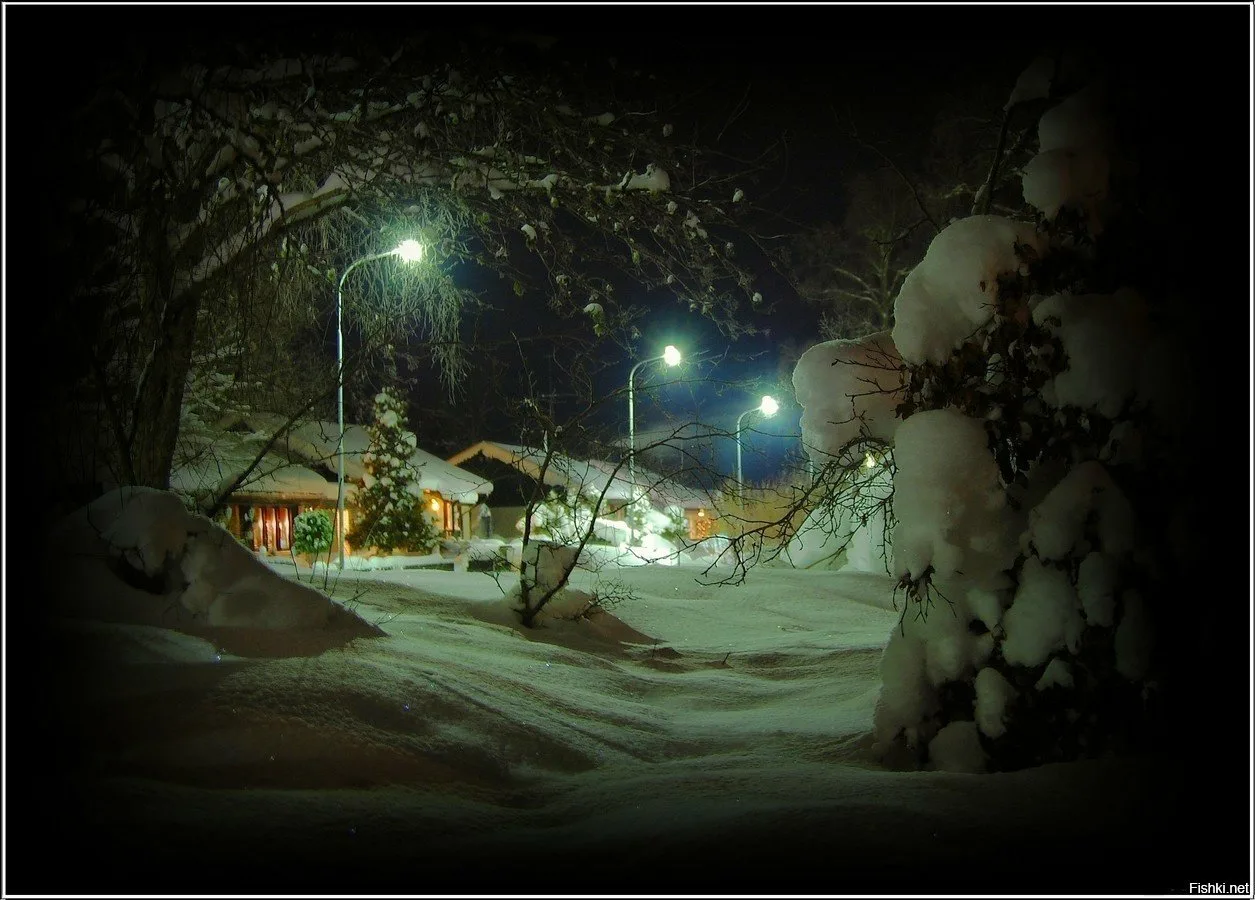 Фото Спокойной зимней ночи #41