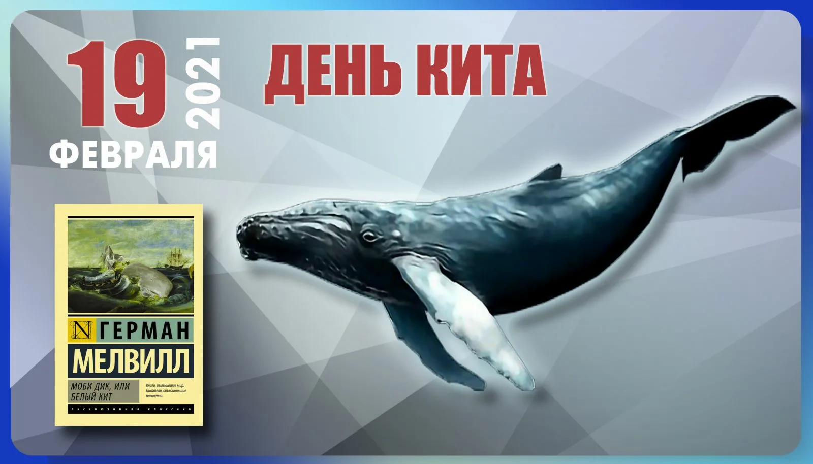 Фото Всемирный день китов и дельфинов 2024 #60