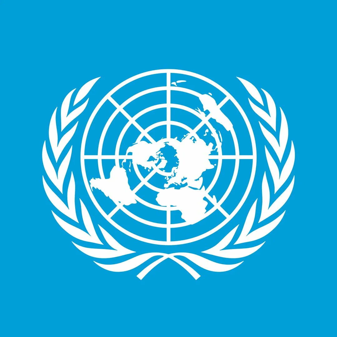 Фото День миротворцев ООН 2024 #81