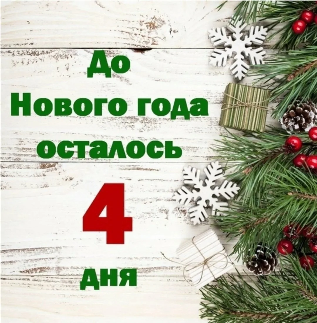Фото Виджет: до нового года осталось (информер для сайта, блога и форума) #13