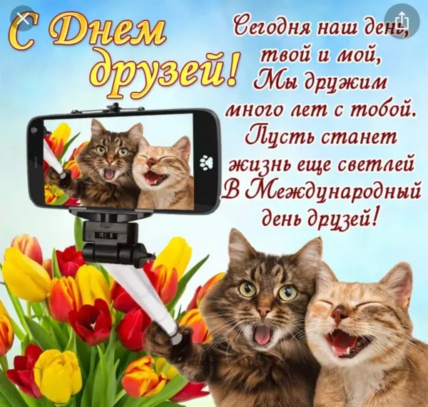 День друзей прикольные картинки