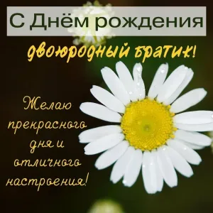 Открытка с 66 летием мужчине