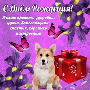 Скачивание изображения #61350