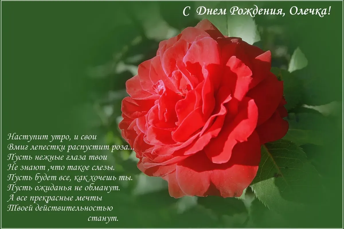 Поздравляю с днем рождения оля