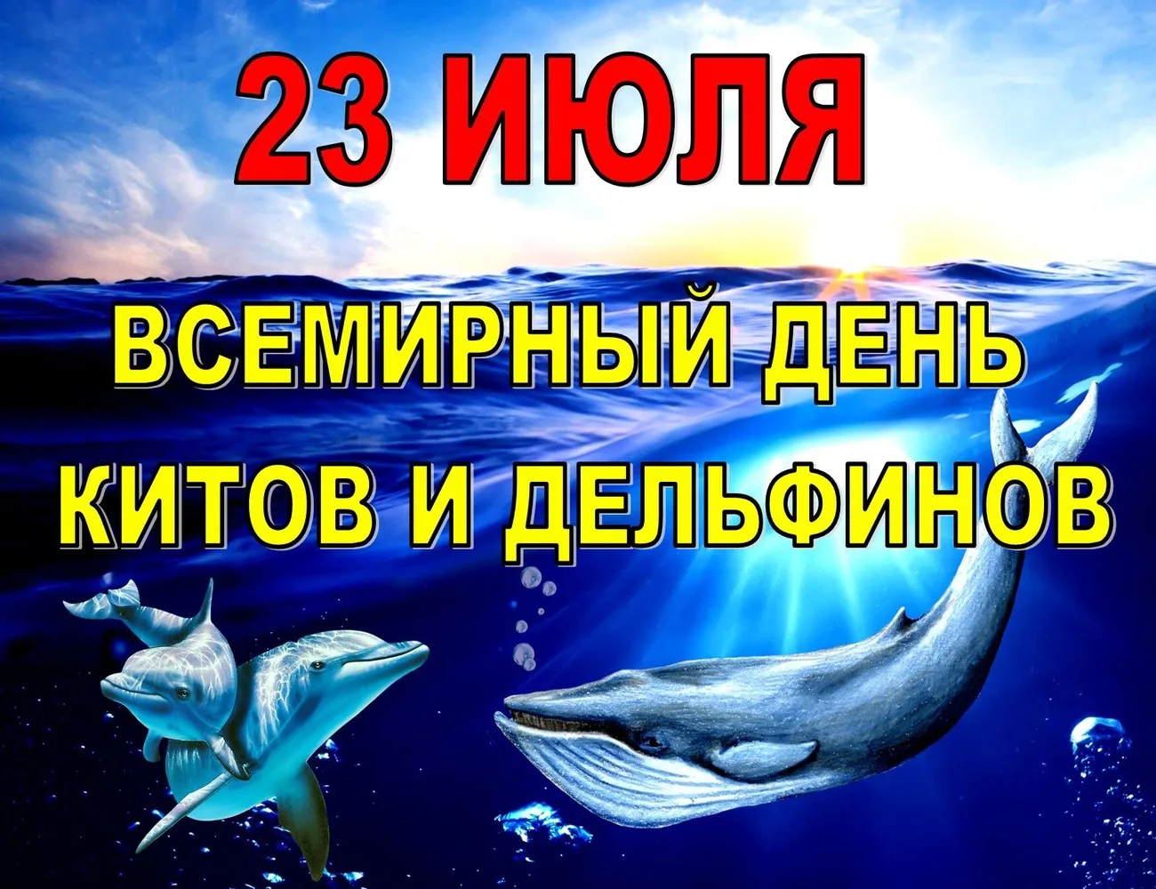 Фото Всемирный день китов и дельфинов 2024 #2