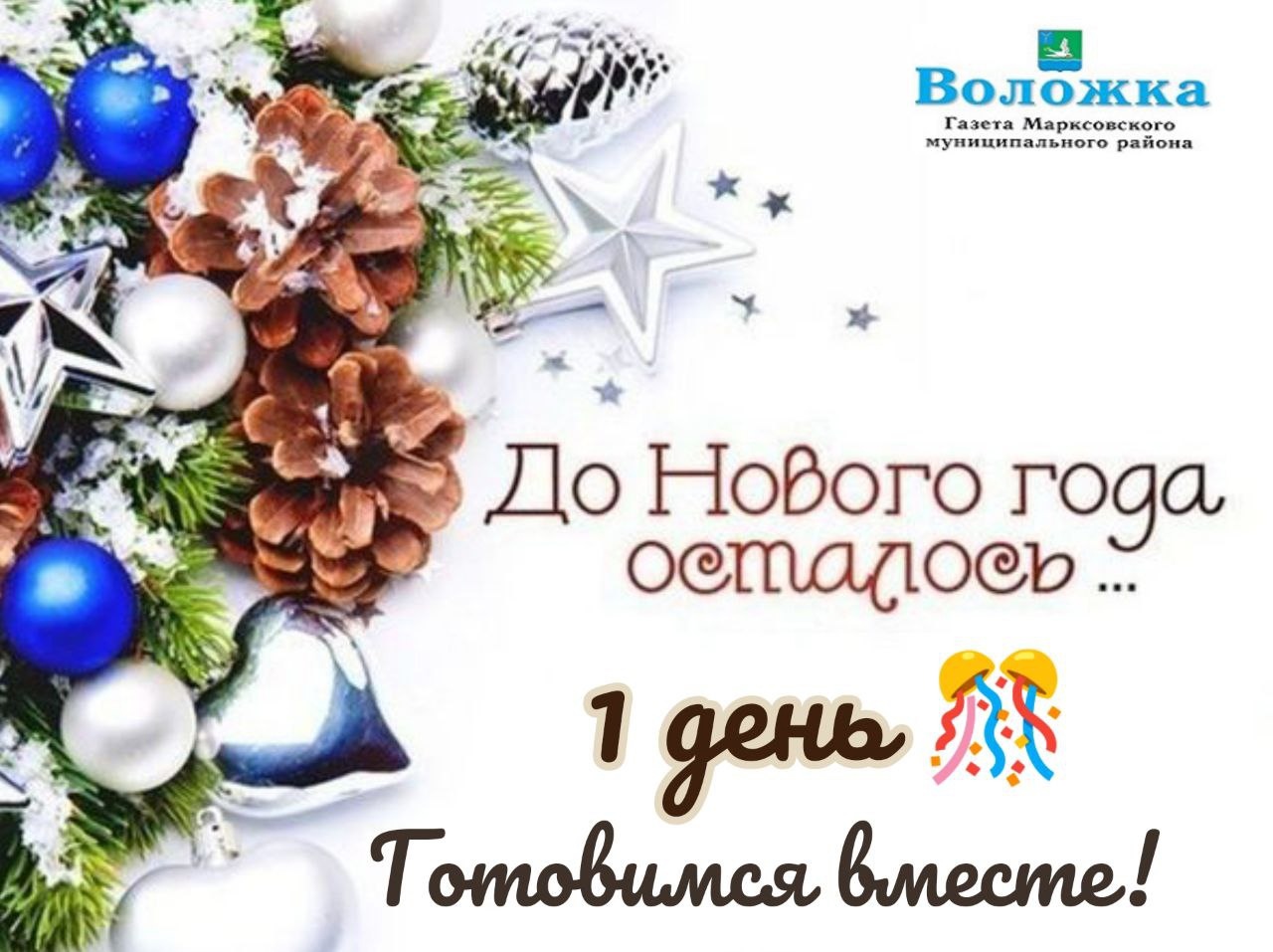 Фото Виджет: до нового года осталось (информер для сайта, блога и форума) #47