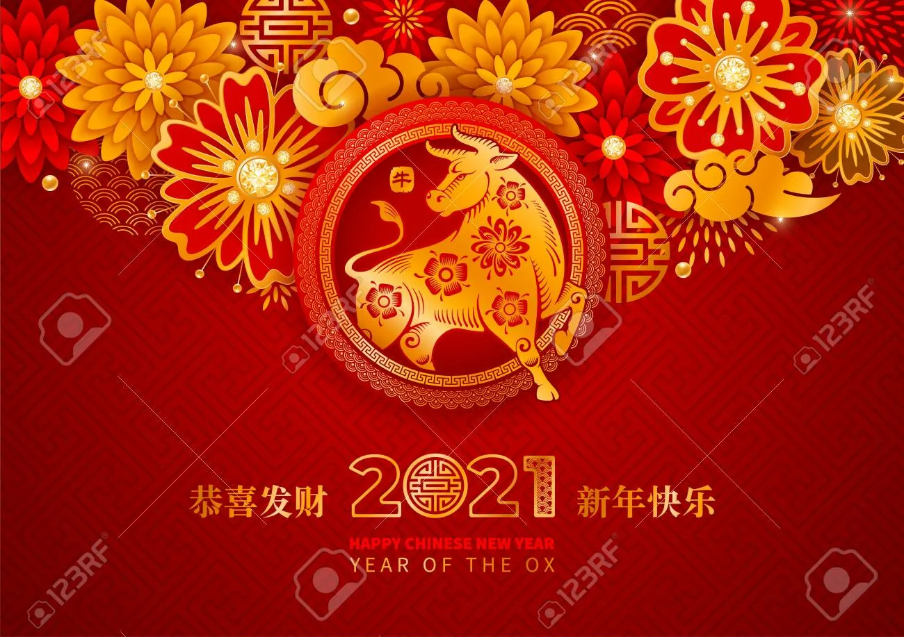 Фото Китайский Новый год 2025 #84