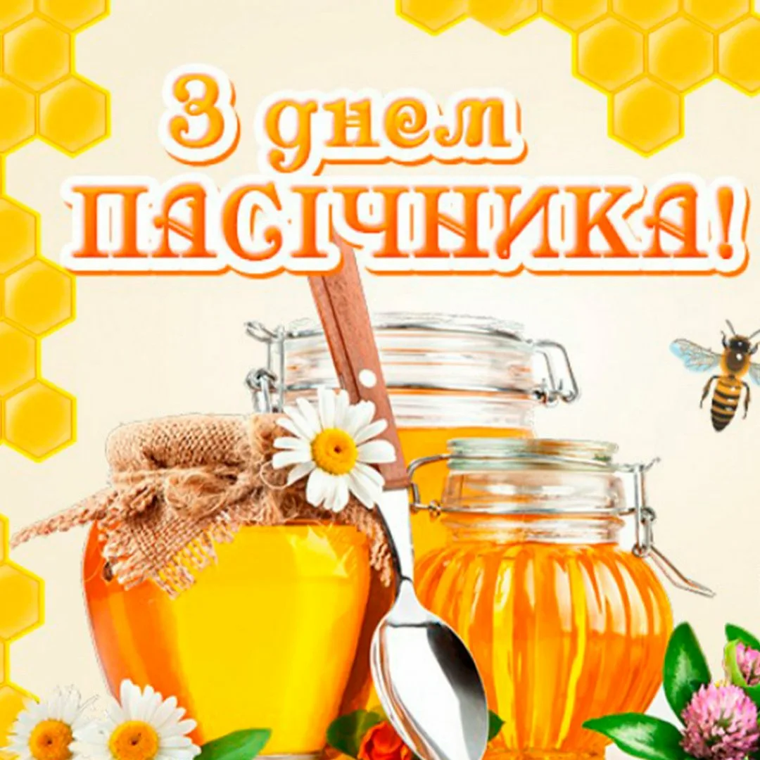 Фото Beekeeper's Day of Ukraine 2024 #10