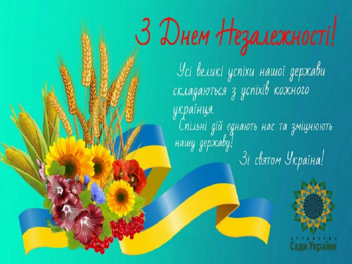 Фото Привітання з Днем Конституції України #36