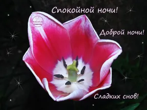 Скачивание изображения #233164