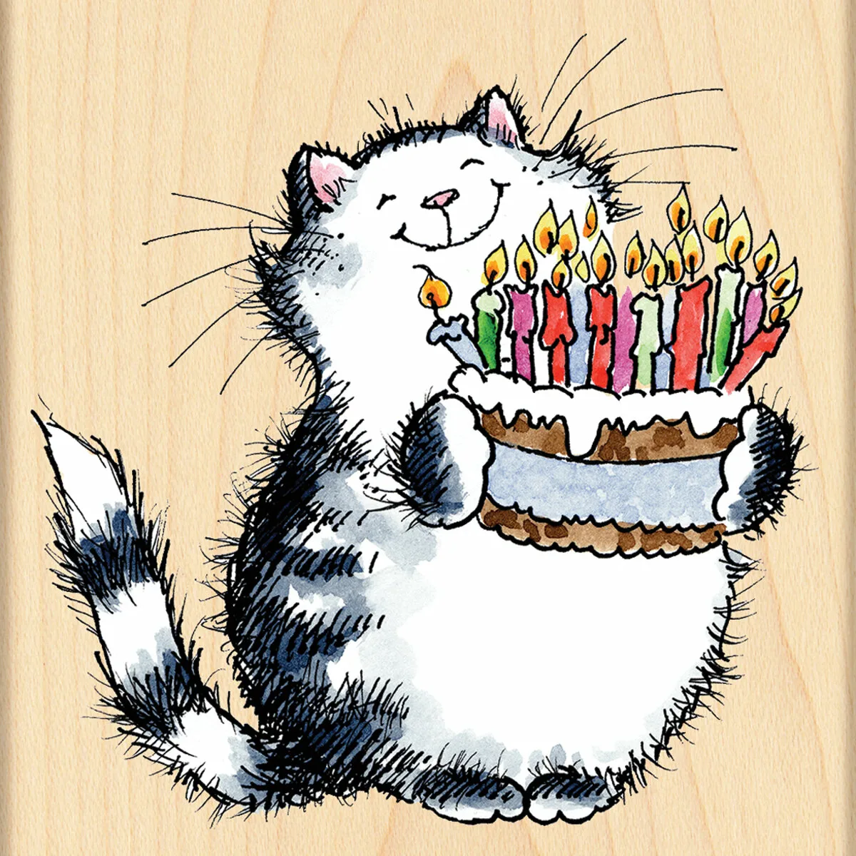 Фото Поздравления с днем рождения коту #10