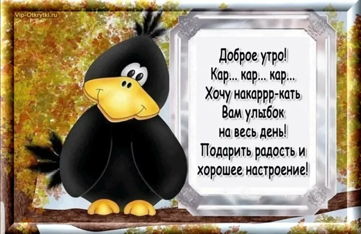 Открытки добрый день мужчине прикольные