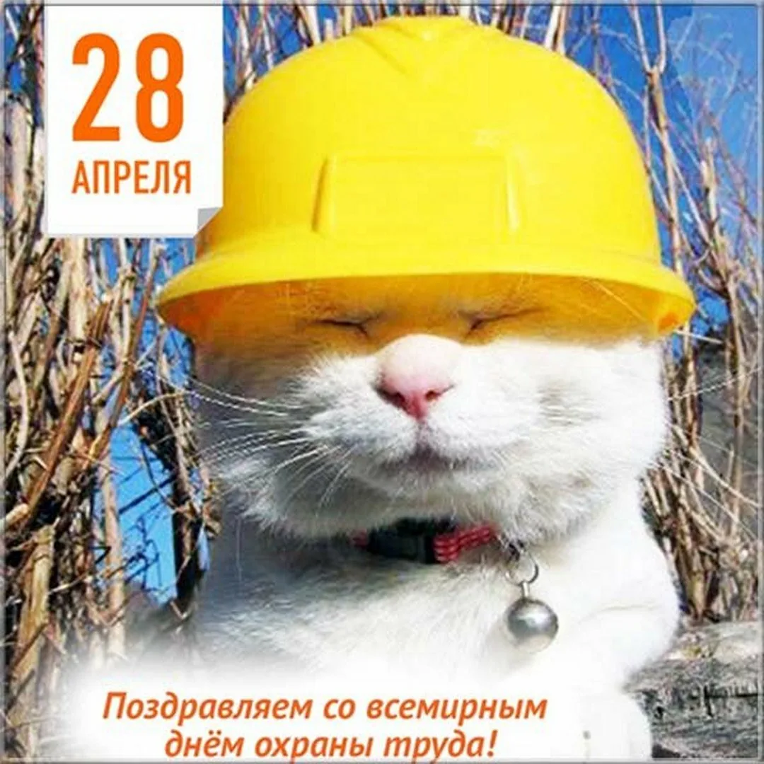 Фото Поздравление с днем рождения инженера по охране труда #32