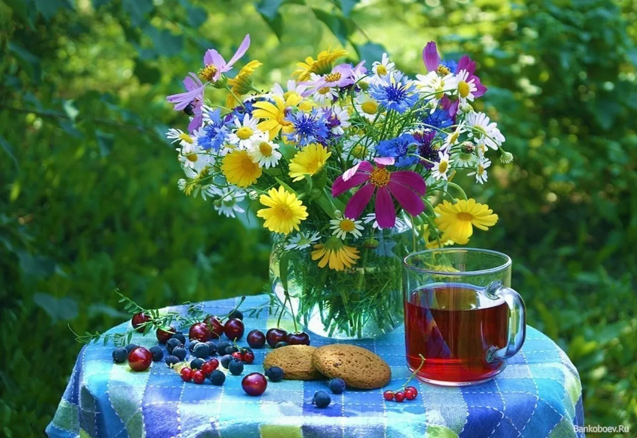 Летнего утра пожелания. Летние цветы. Летнее настроение. Красивый букет полевых цветов. Летнее утро.