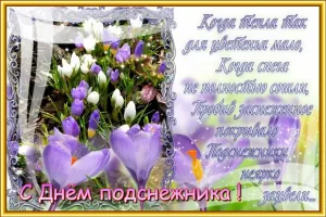 Скачивание изображения #89423