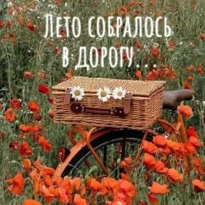 Скачивание изображения #32588