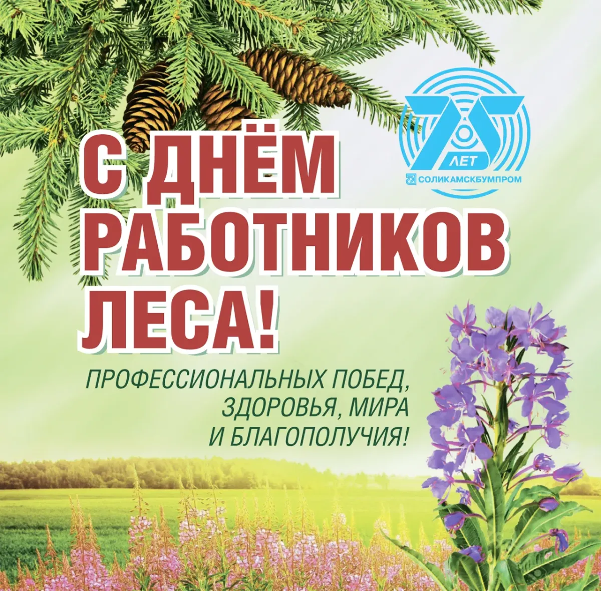 С днем работника леса. Поздравление с днем работника леса. День работников Лесной и деревообрабатывающей промышленности. 15 Сентября день работников леса.