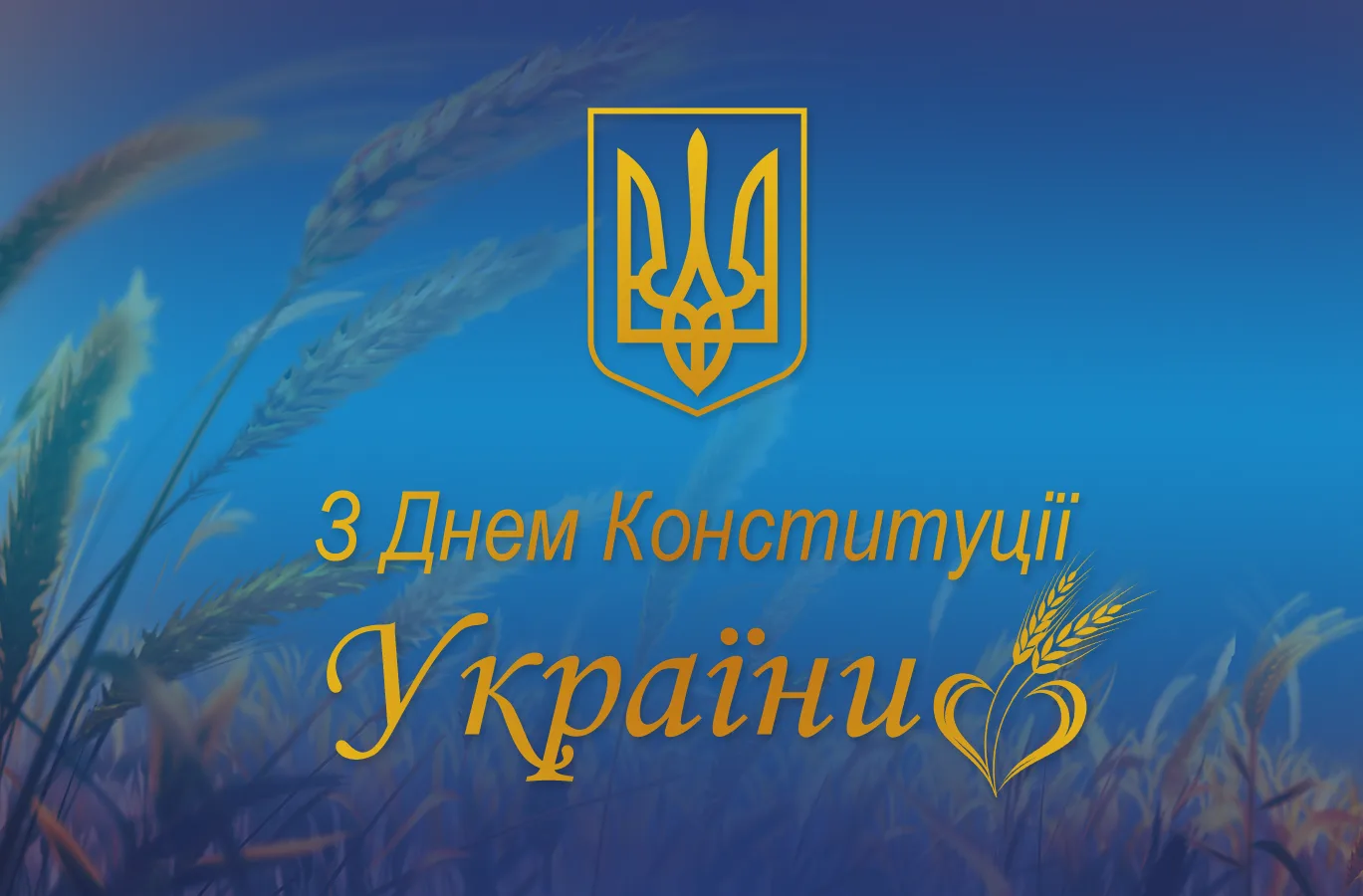 Фото День Конституции Украины #25