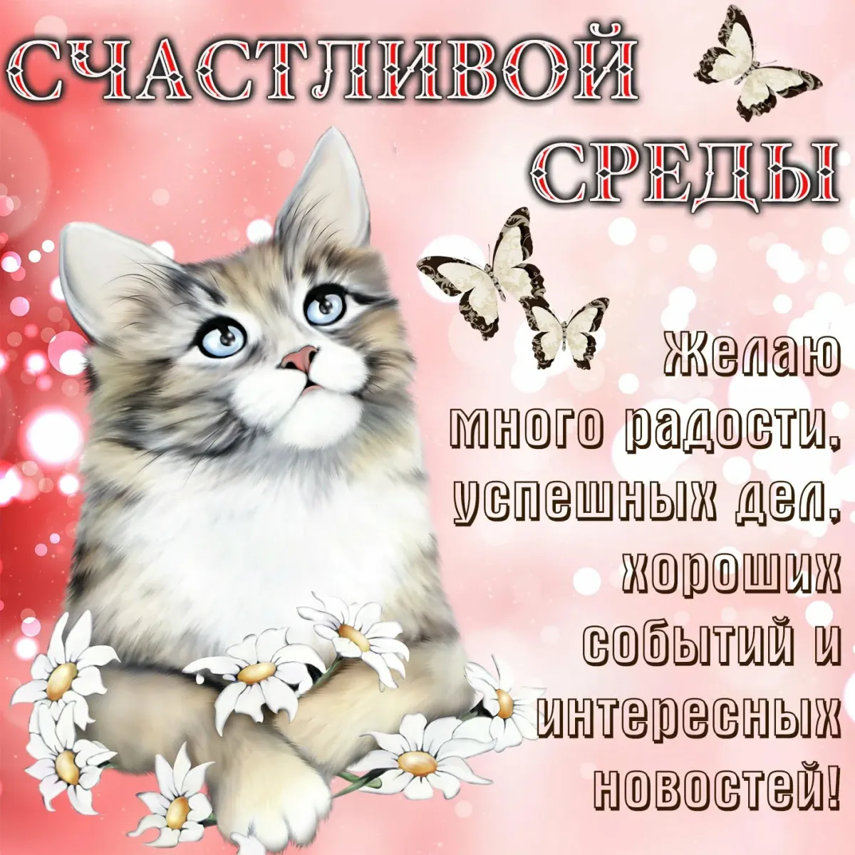 Со средой доброе утро картинки красивые с пожеланиями бесплатно