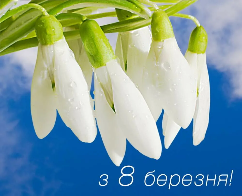 Фото Привітання з 8 Березня мамі на українській мові #16