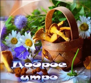 Скачивание изображения #230890