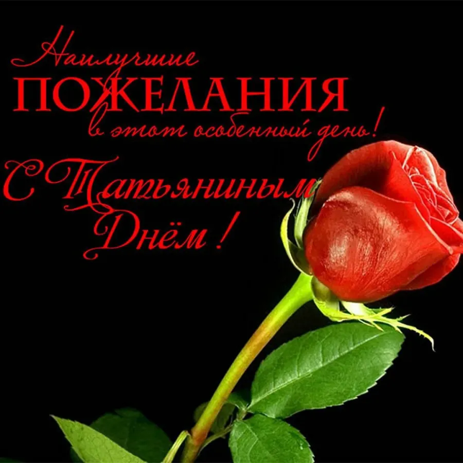 Поздравления с днем татьяны открытки ватсап. Татьянин день поздравление. татьянин день открытки. татьянин день картинки. открытка татьянин день в вацапе.