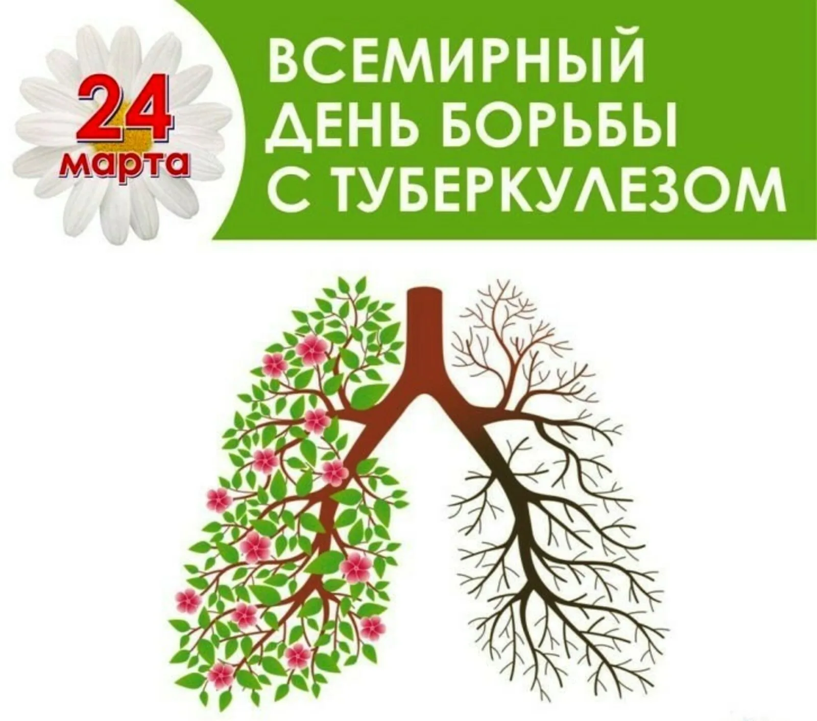 Фото Всемирный день борьбы с туберкулезом #35