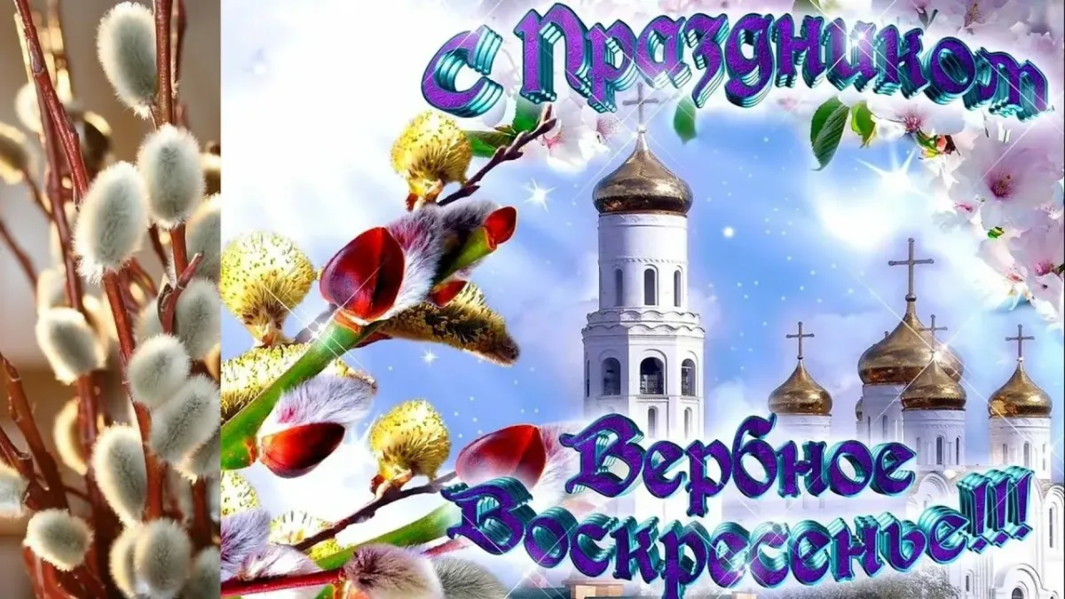 Картинки с вербным