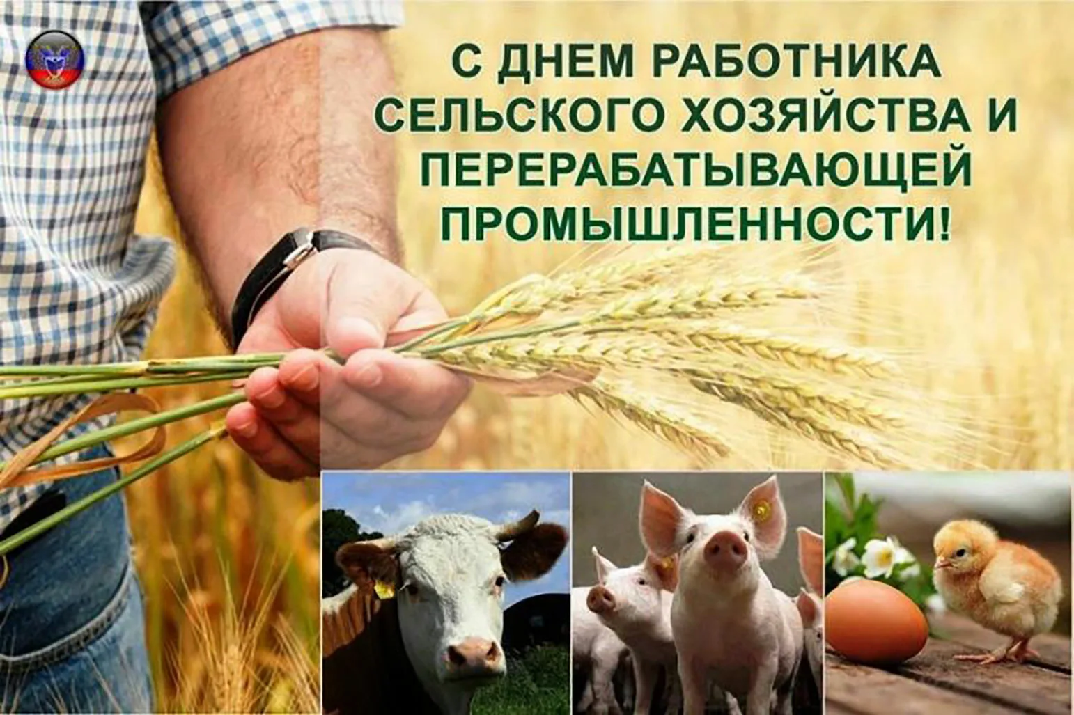 Фото Поздравления с днем работников сельского хозяйства Украины #28