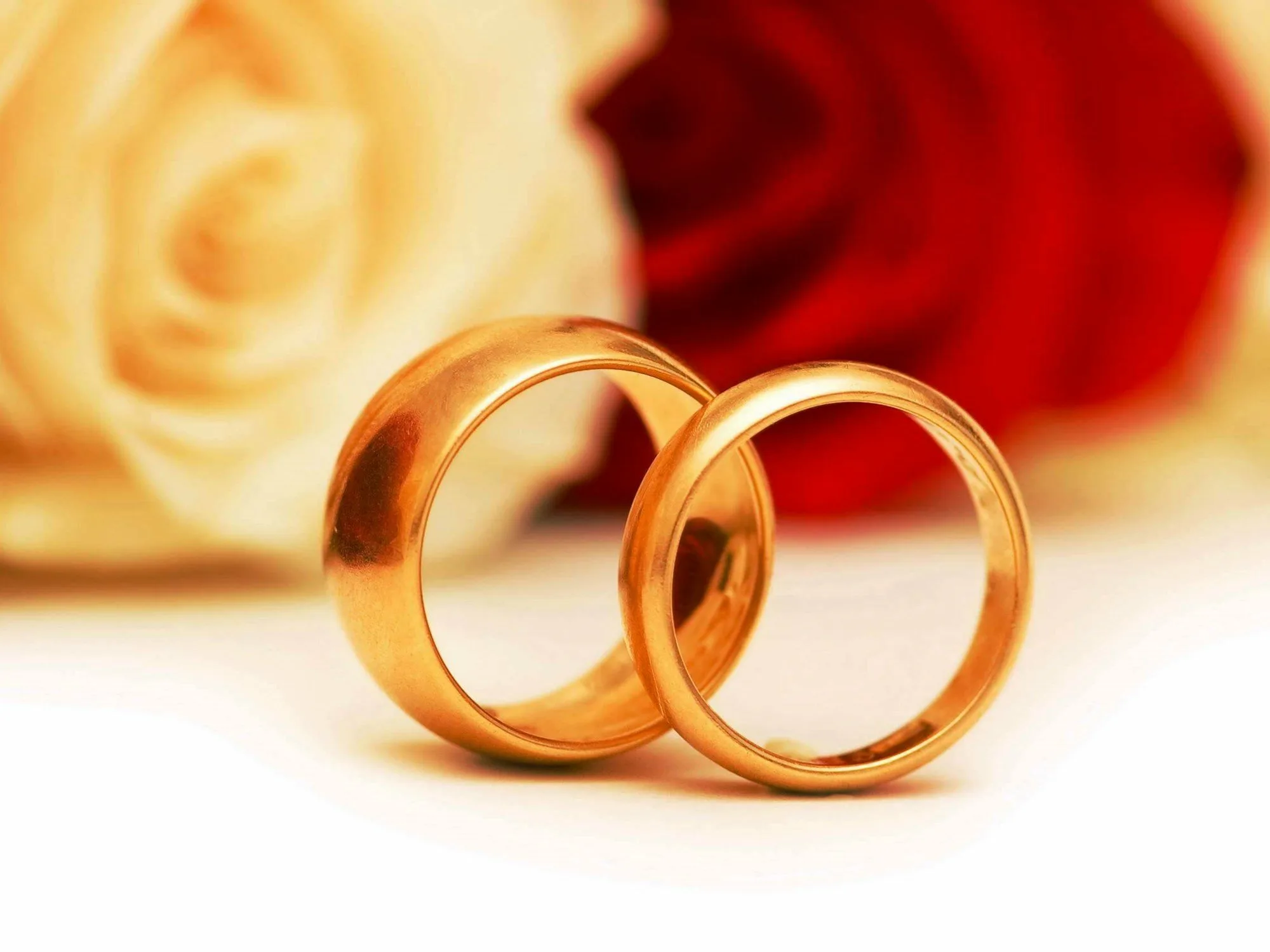Открытка с годовщиной свадьбы жене от мужа. Свадебные кольца. Золотая свадьба. Обручальные кольца на красивом фоне. Свадебный фон.